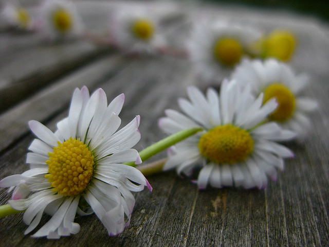 Daisy chain